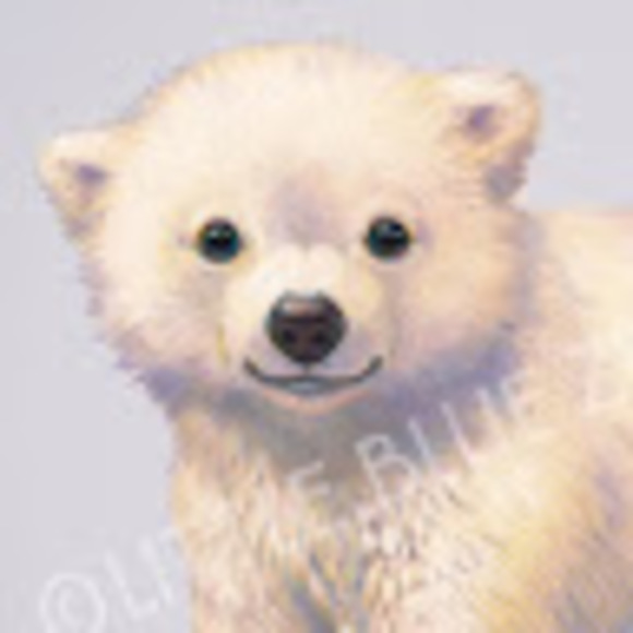 Meet your Posher, Squishy - Picture 1 of 1